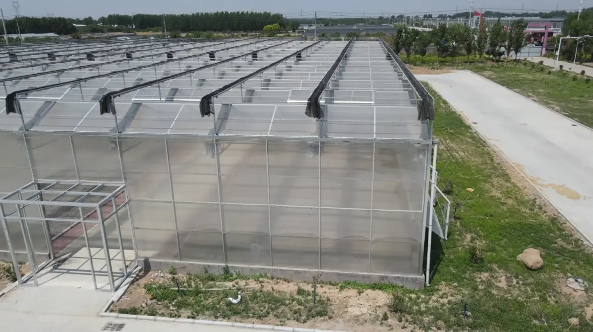 Polycarbonate Sheet VS Acrylic Sheet: Which Is Better for Your Project?