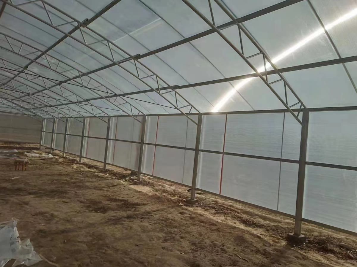 Interior view of polycarbonate greenhouse showing translucent roof panels and steel frame structure