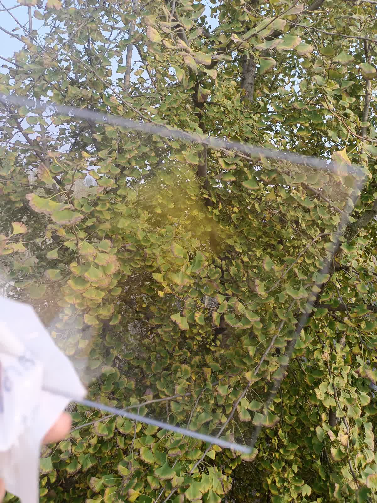 Polycarbonate vs Tempered Glass: Which Glazing Material Suits Your Project?