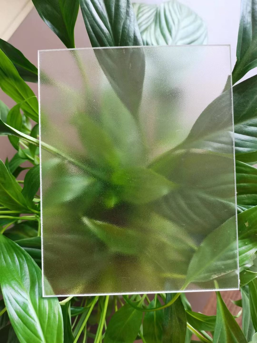 Frosted polycarbonate sheet diffusing light with a plant seen only as a soft blurred shape behind it