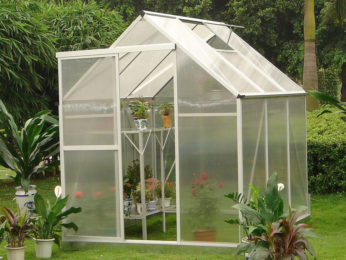 Polycarbonate greenhouse letting natural light through