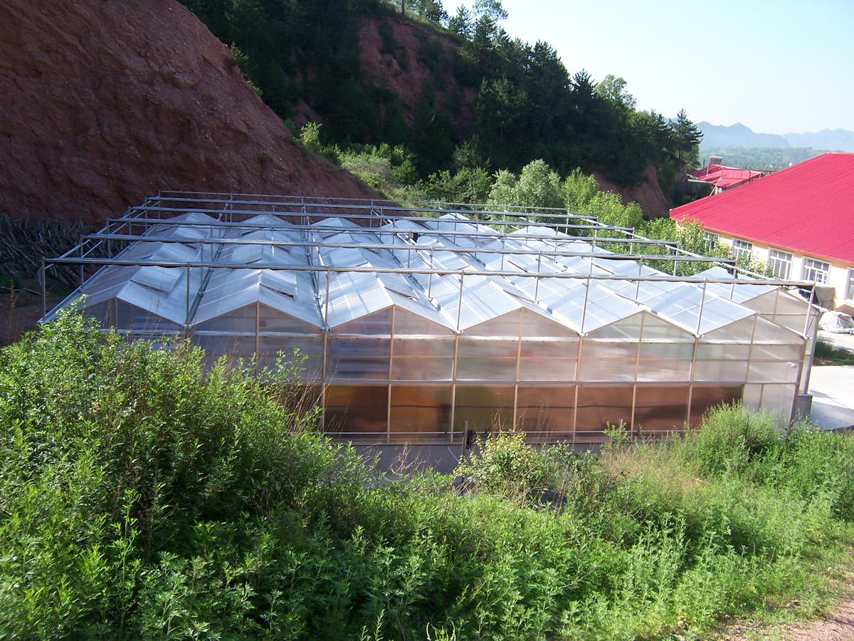Large multi-span greenhouse with multiwall polycarbonate glazing at the foot of a mountain