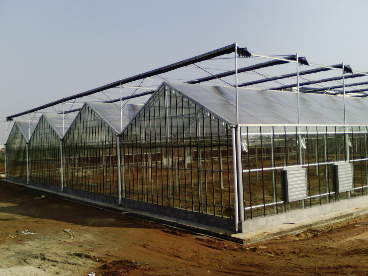Multiwall Polycarbonate Greenhouse Projects 2026: 10,000 m² Multi-Span Case Study