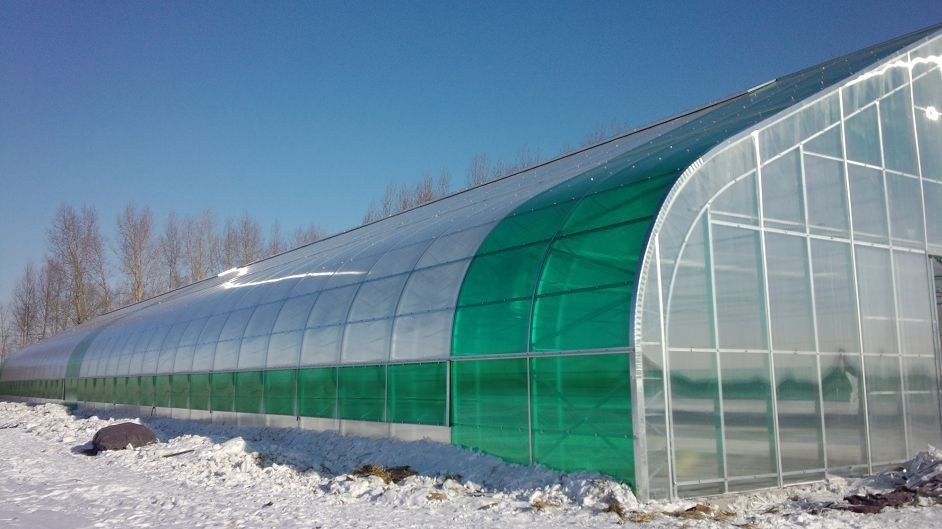 Winter greenhouse covered in snow with multiwall polycarbonate panels